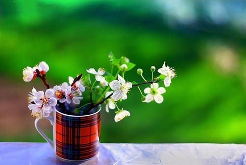 心理帮帮(用户端)