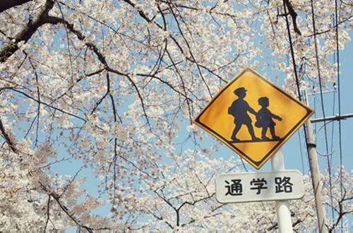 呱呱贵宾会app2025最新版车内视角与精细仪表盘