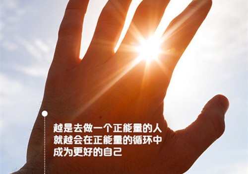 贵州药材APP
