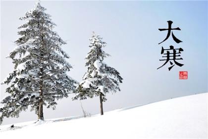 333体育appV6.6专业版