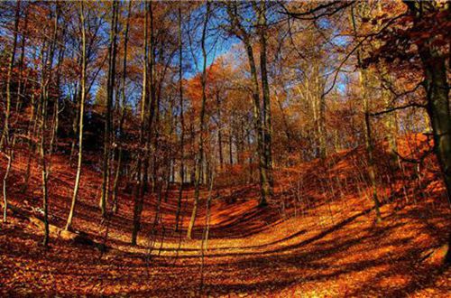 球赛押注官方APP2025版多人竞技模式画面