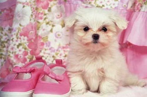 开云官方网登录