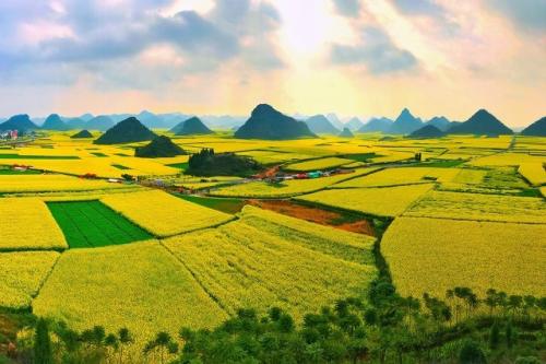 小熊洗车APP