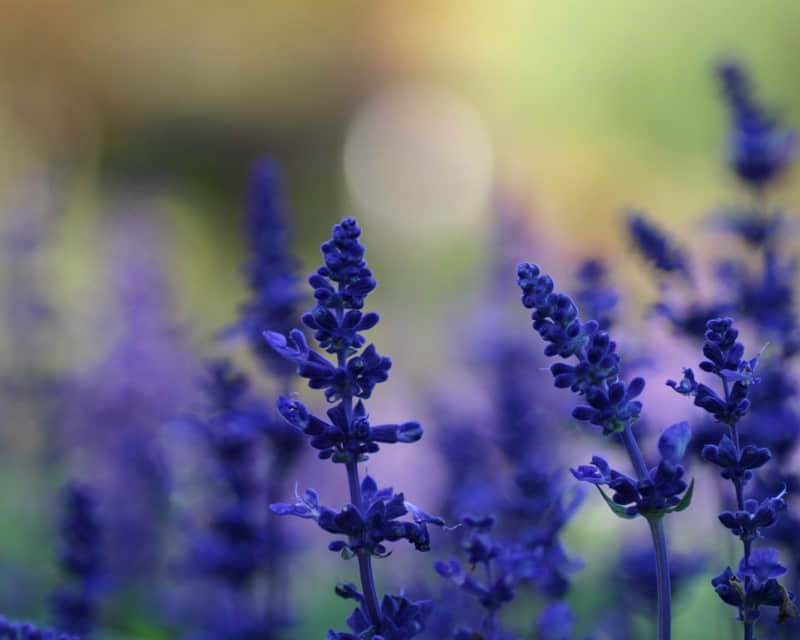 kaiyun体育app官网登录入口下载安装V5.2专业版