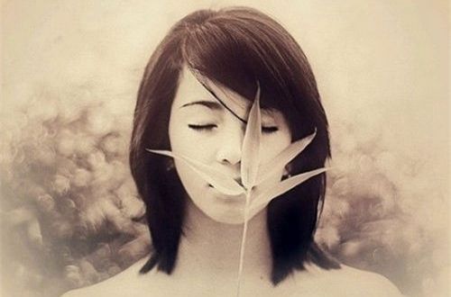 群雄打天下果盘版