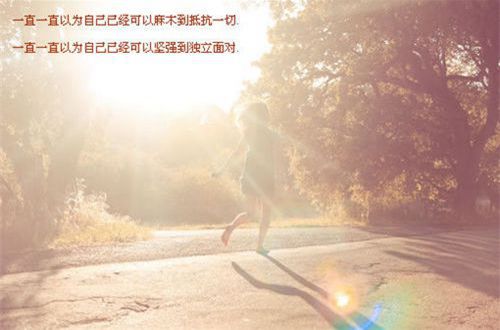 乐冠平台官网V2.2专业版
