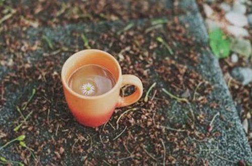 kaiyun体育手机登录多样化英雄阵容展示