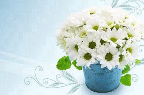 3377体育appV9.8专业版