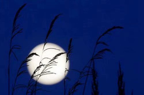 澳门棋牌百家appV6.8专业版