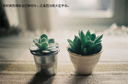 一触即发无限金币版
