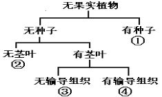 365体育下载V6.5专业版