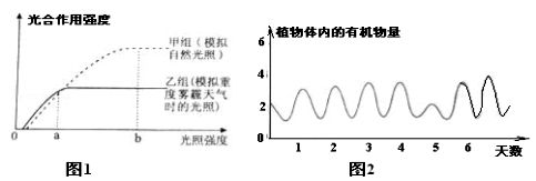 7m体育app避难所基地建设界面