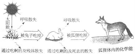 古老的未来后启示录时代最新版探索与战斗界面