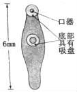 贵州药材APP