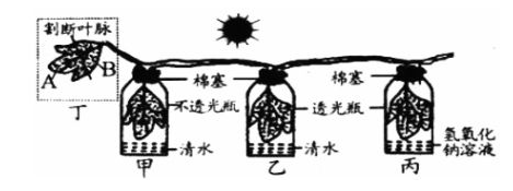 河南汽车维修平台APP