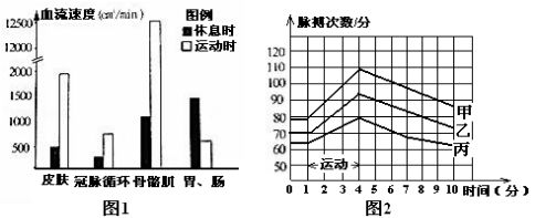 贵州药材APP