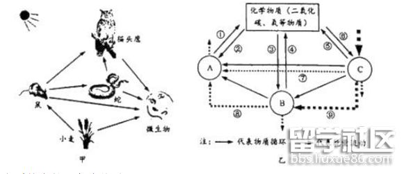 河南汽车维修平台APP