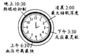 小熊洗车APP