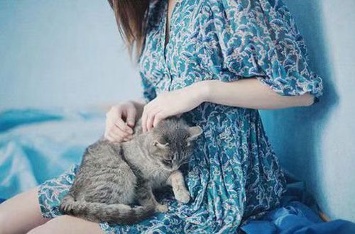 adobe photoshop cs5注册机