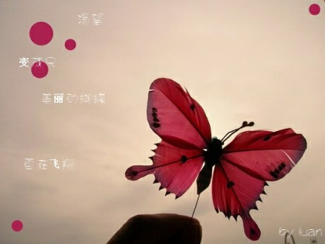 有容科技云连锁