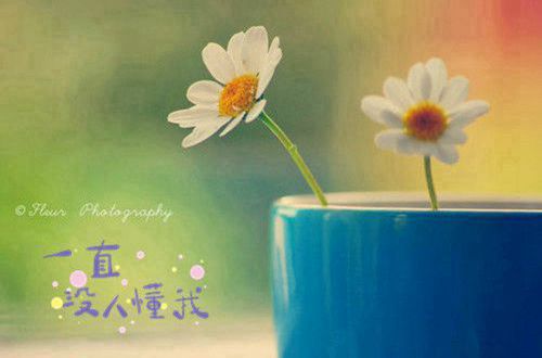 想不想修真