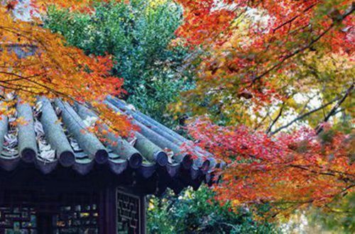 金梅新双尖头字形