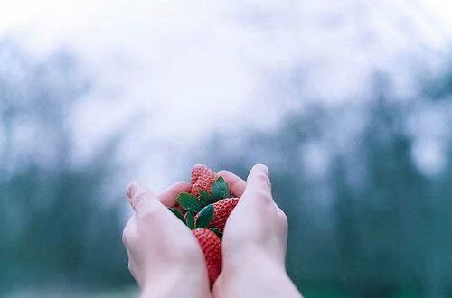 球赛押注官方APP安卓版二维码