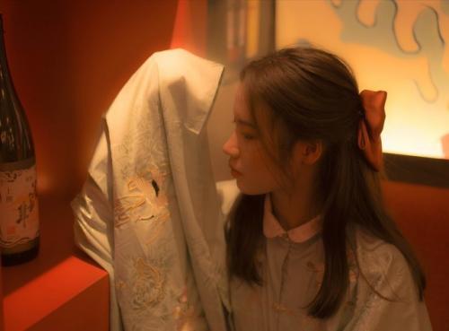 photozoom pro图片无损放大软件