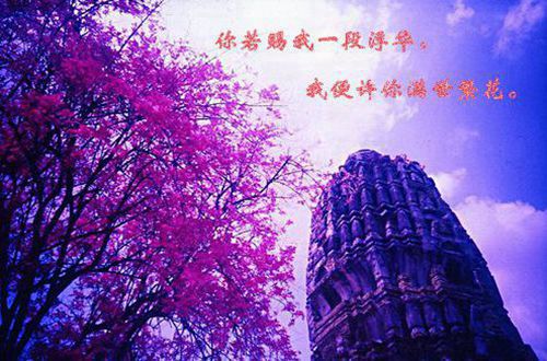 贵州药材APP
