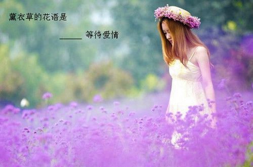 贵州药材APP