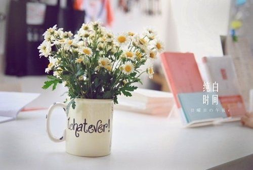 叛乱沙漠风暴2025最新版 武器自定义界面展示