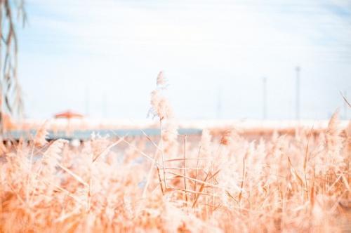 买球网址appV1.7专业版