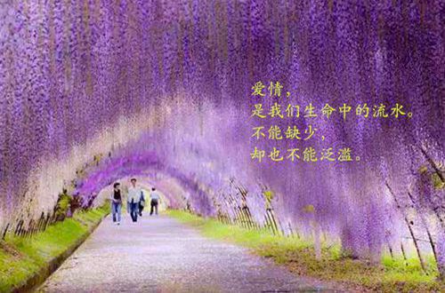 开云官方网页登录入口