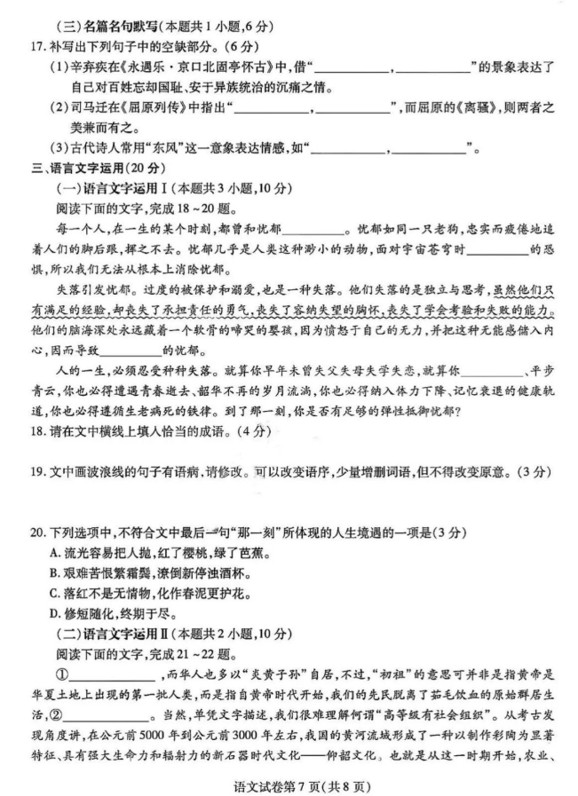 彩客V9.8专业版
