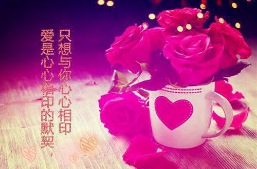 开云kaiyunapp下载方式