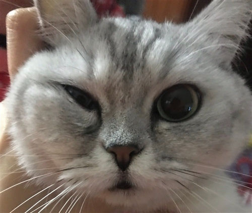 世外桃源app安卓版二维码