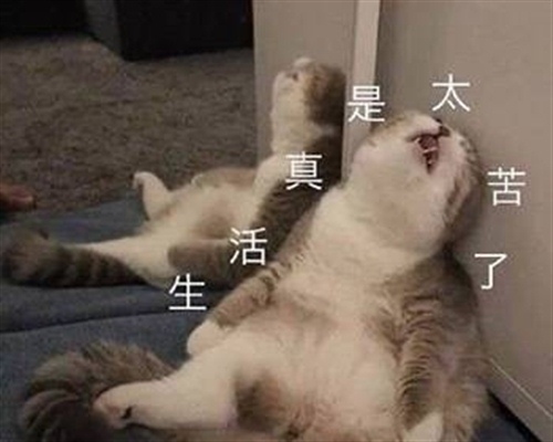 贵州药材APP