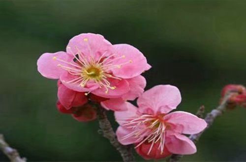 新天地棋牌入口安卓版二维码