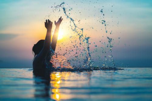 PDF-XChange Viewer Pro(PDF阅读器)