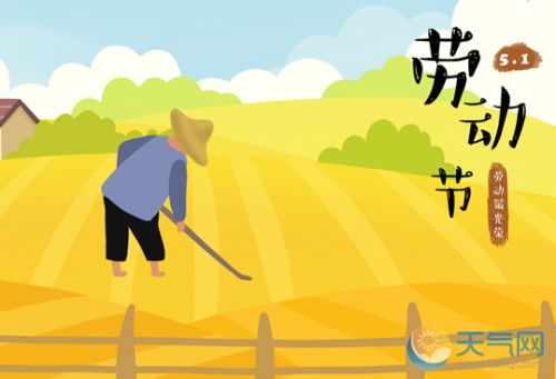 贵州药材APP