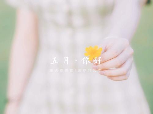 winwebmail企业修改版(带注册机)