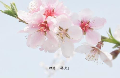 澳门十大老牌app官网V2.9专业版
