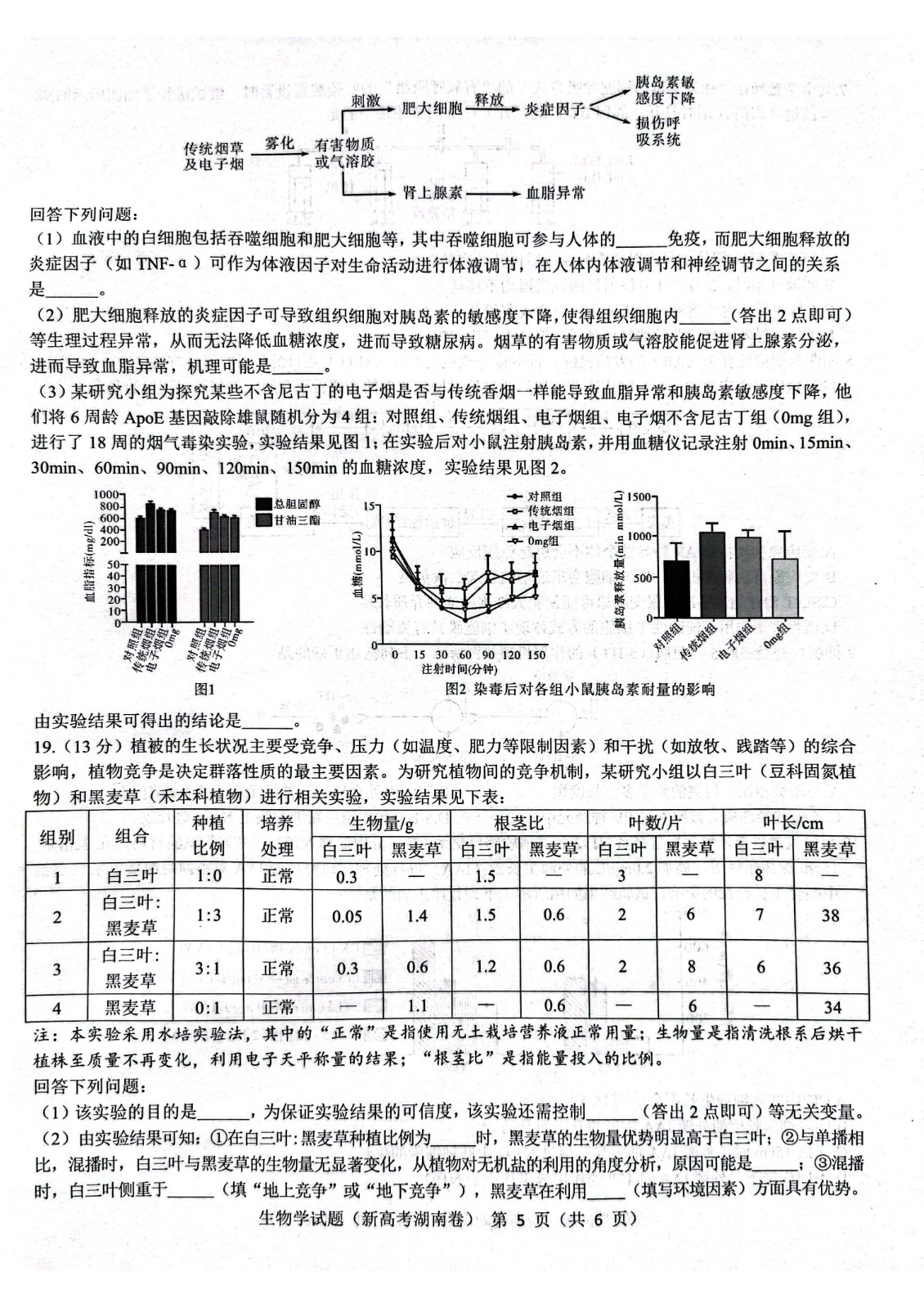 360注册表清理独立版