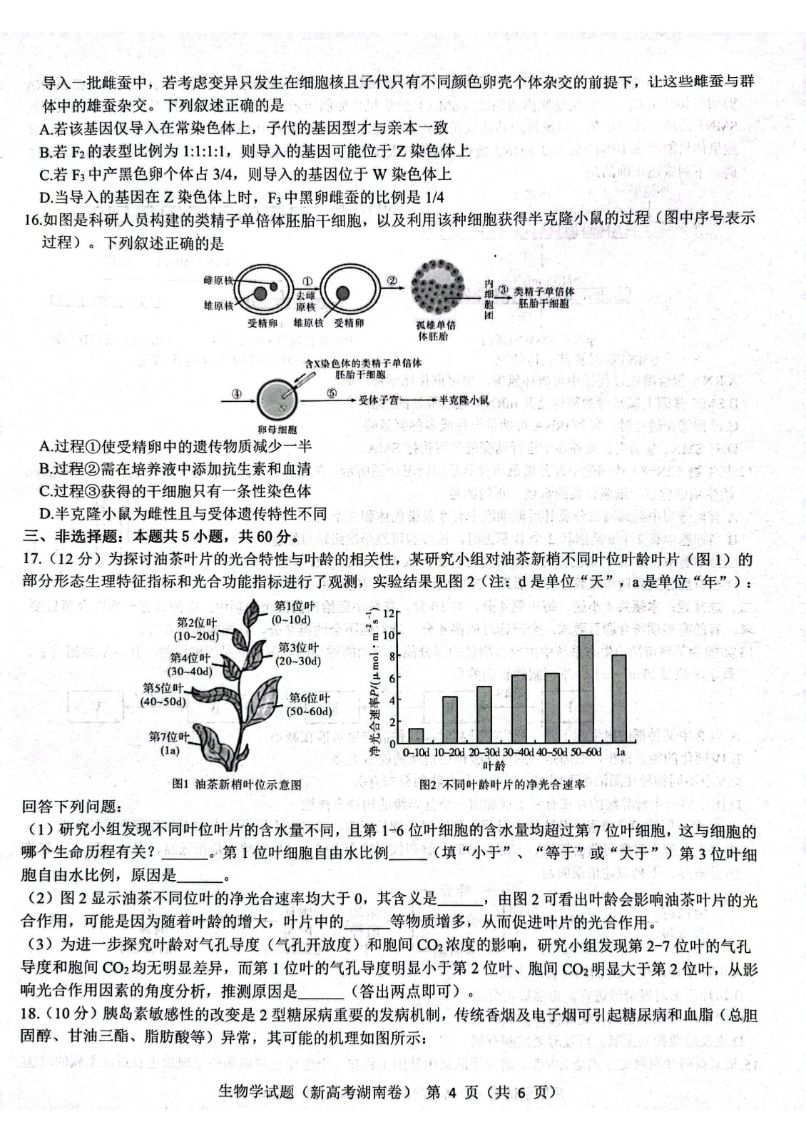 DICOM图像浏览器(.dcm图像查看器)
