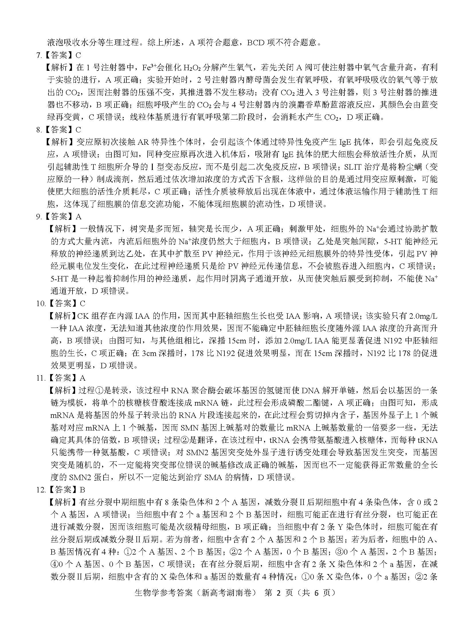 愤怒奶奶游巴西