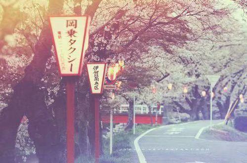 蜂鸟竞技app