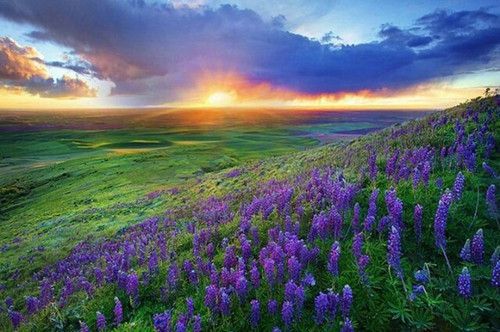 河南汽车维修平台APP
