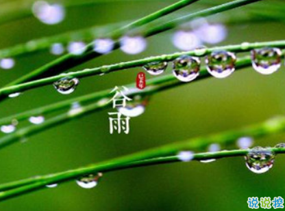 贵州药材APP