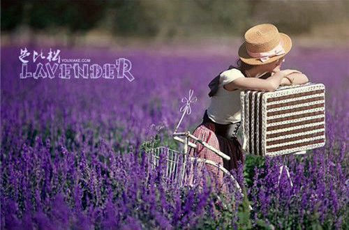 体育外围平台网页版V8.9专业版