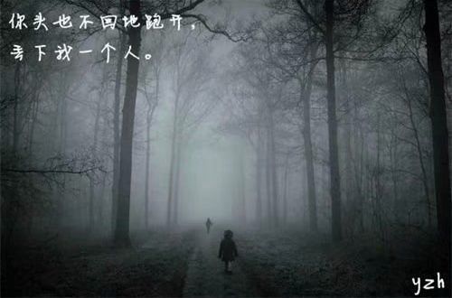 鸿博体育app